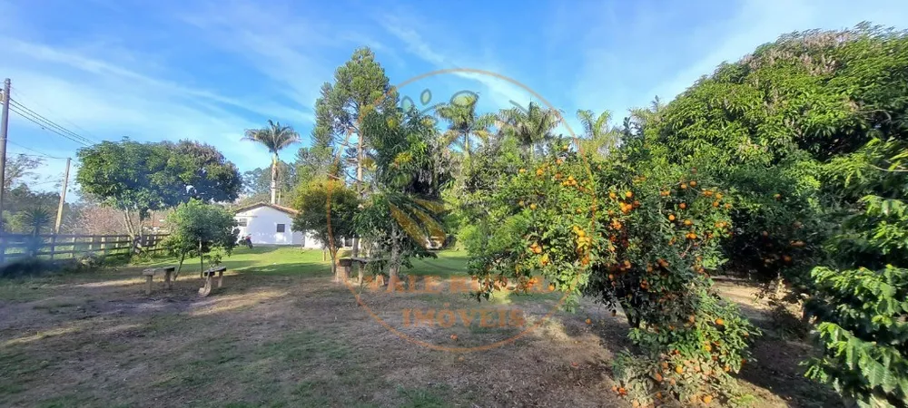 Chácara, 3 quartos, 5000 m² - Foto 3