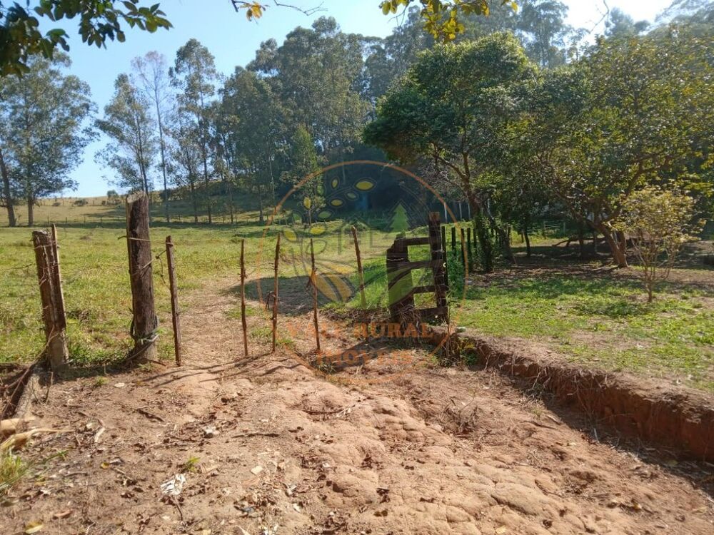 Sítio, 4 quartos, 6 m² - Foto 4