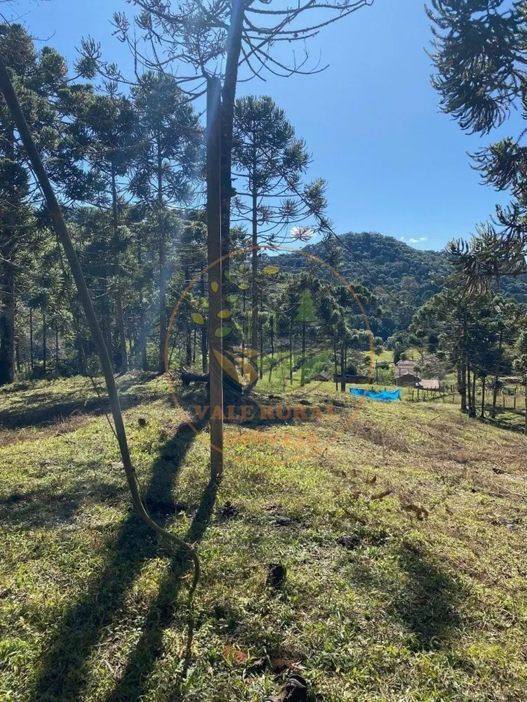 Fazenda, 5 hectares - Foto 2
