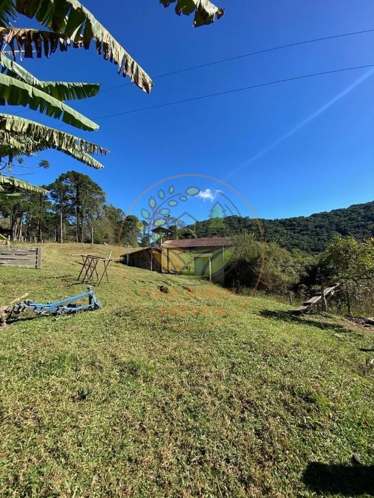 Fazenda, 5 hectares - Foto 7