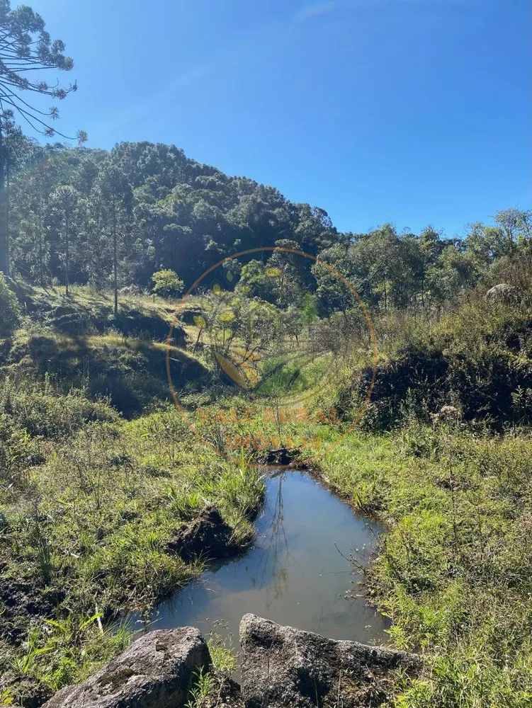 Fazenda, 5 hectares - Foto 11