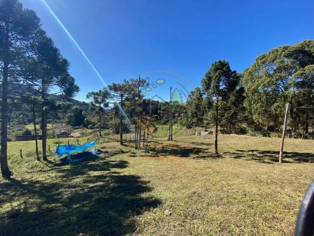 Fazenda, 5 hectares - Foto 3