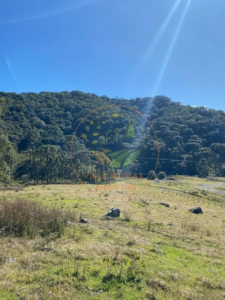 Fazenda, 5 hectares - Foto 1