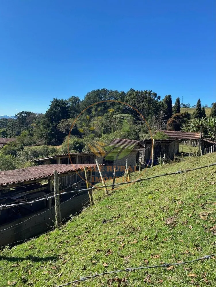 Fazenda, 5 hectares - Foto 9