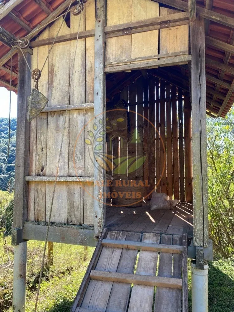 Fazenda, 5 hectares - Foto 8