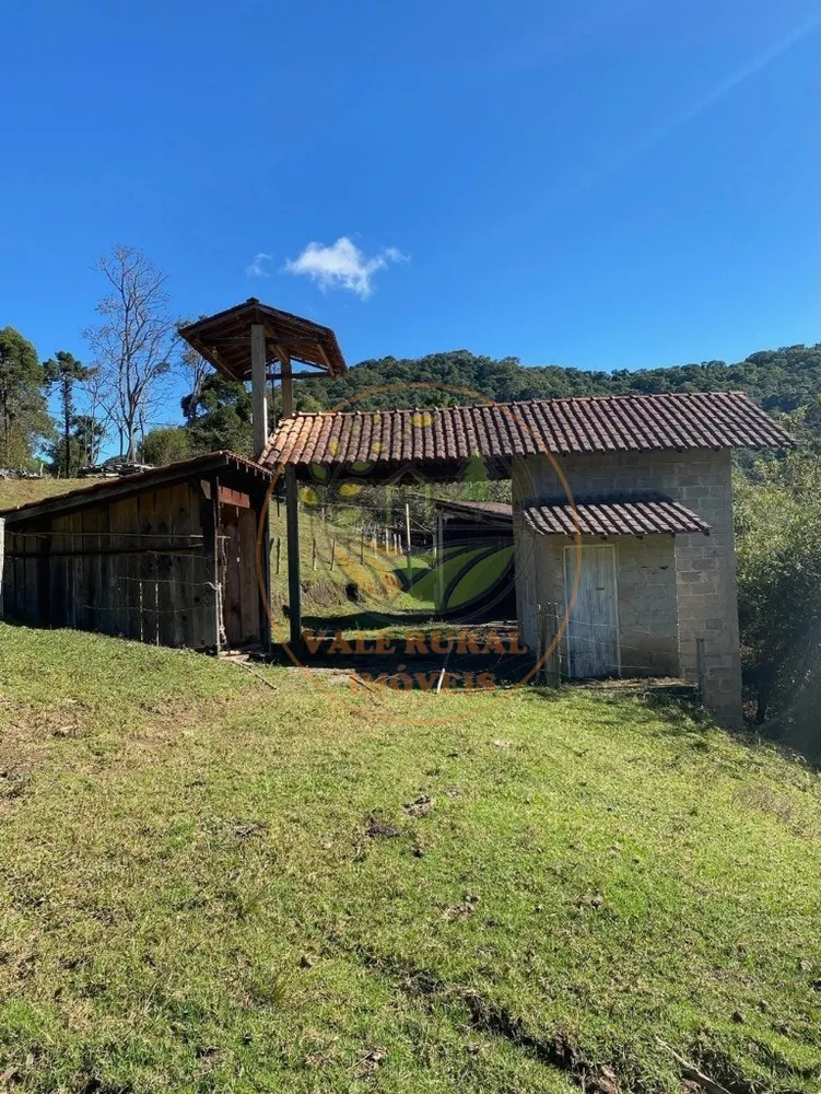 Fazenda, 5 hectares - Foto 6