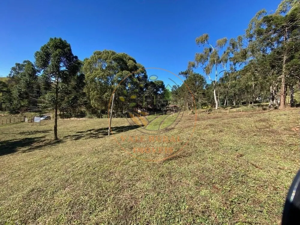 Fazenda, 5 hectares - Foto 4