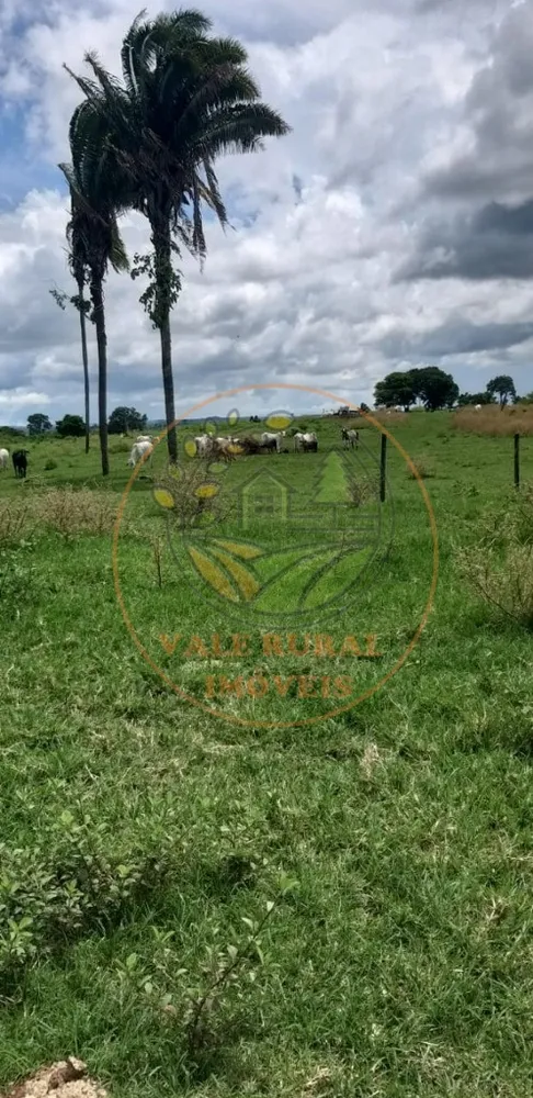Fazenda - Foto 4