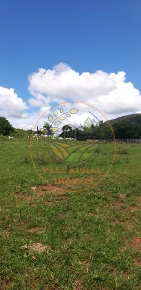 Fazenda - Foto 11