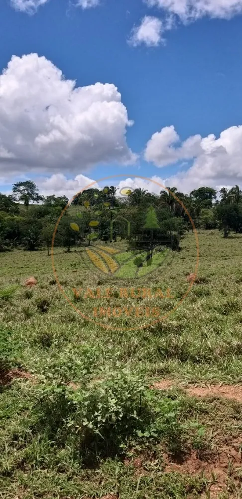 Fazenda - Foto 12