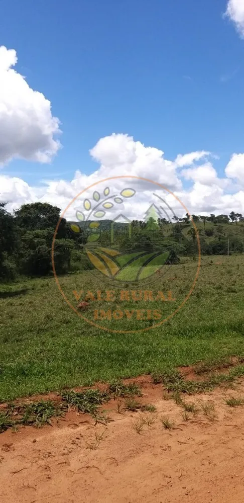 Fazenda - Foto 6