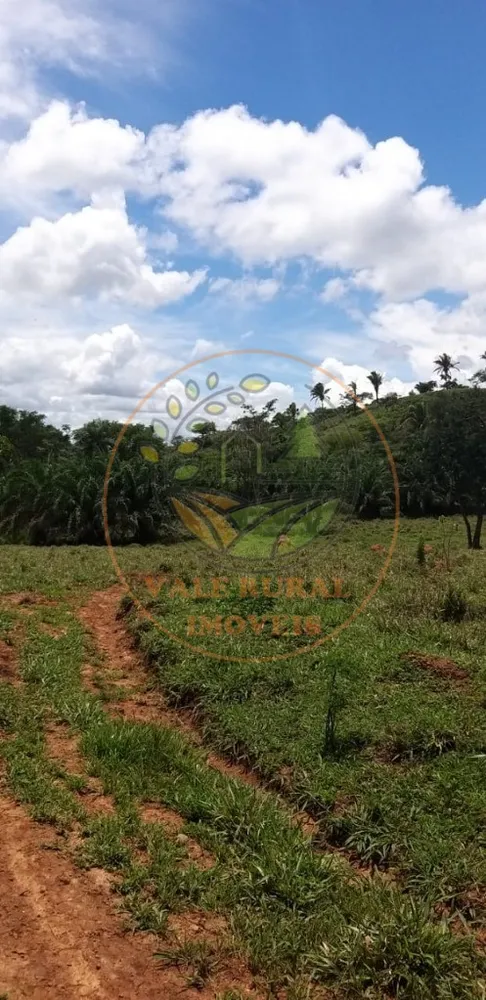 Fazenda - Foto 5
