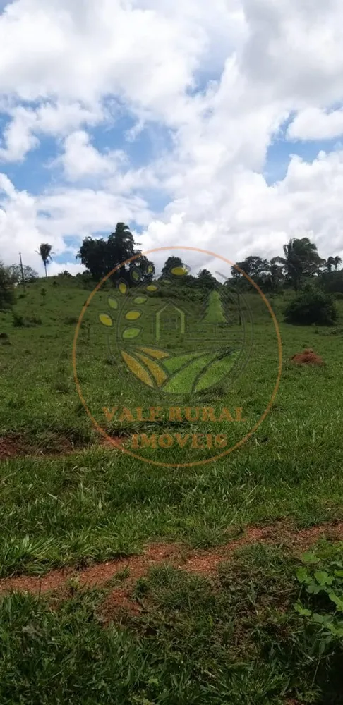 Fazenda - Foto 1