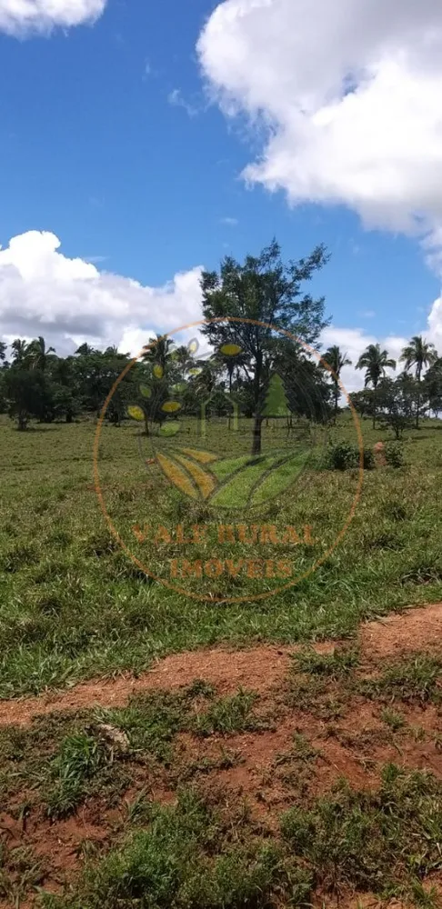 Fazenda - Foto 7