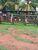 Fazenda - Foto 3