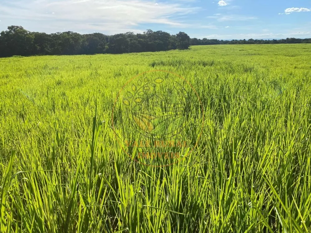 Fazenda à venda com 10 quartos, 13958m² - Foto 4