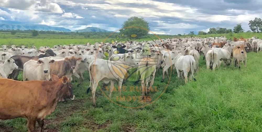 Fazenda à venda com 10 quartos, 13958m² - Foto 3