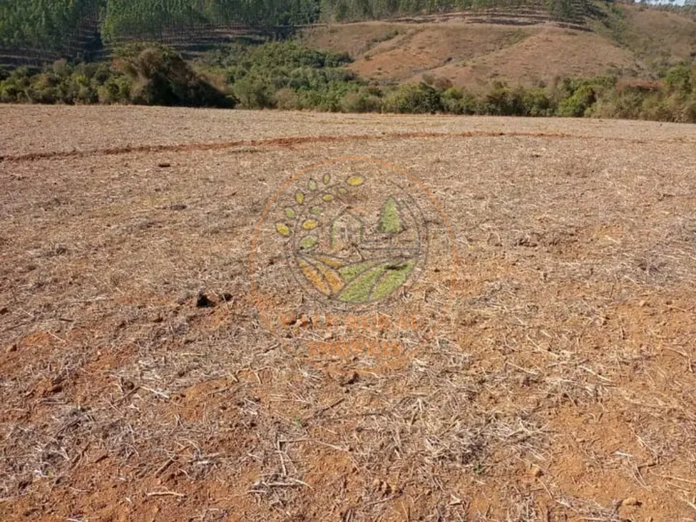 Fazenda - Foto 4