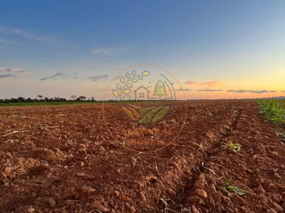 Fazenda - Foto 5