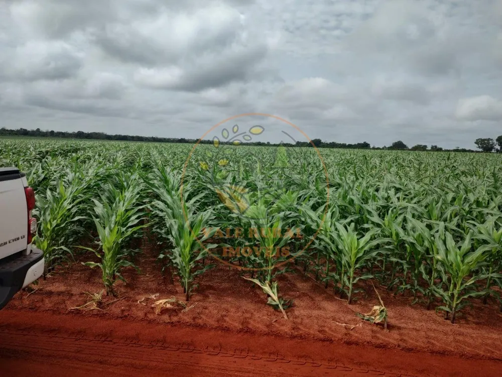 Fazenda - Foto 3
