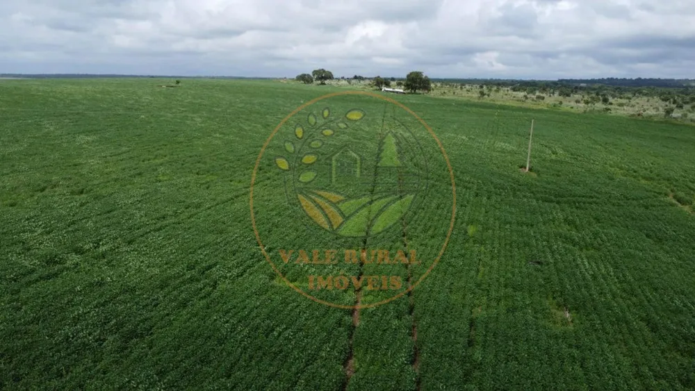 Fazenda - Foto 7