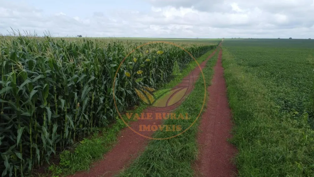 Fazenda - Foto 10