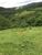 Fazenda, 3 quartos - Foto 3