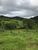 Fazenda, 3 quartos - Foto 2
