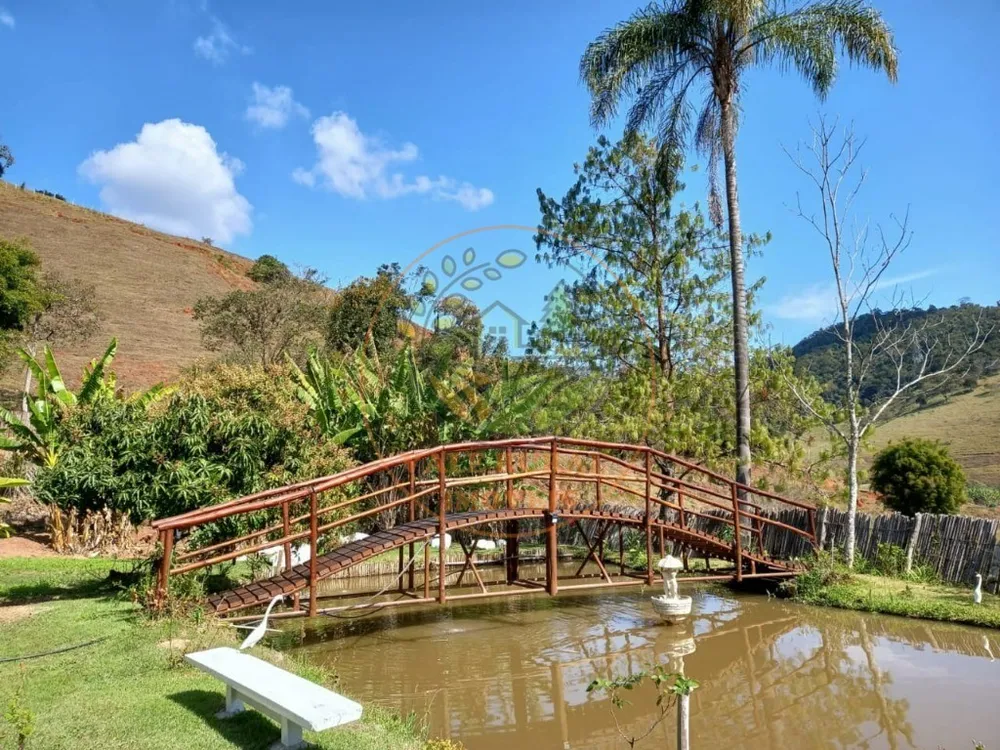 Chácara, 3 quartos, 3680 m² - Foto 4