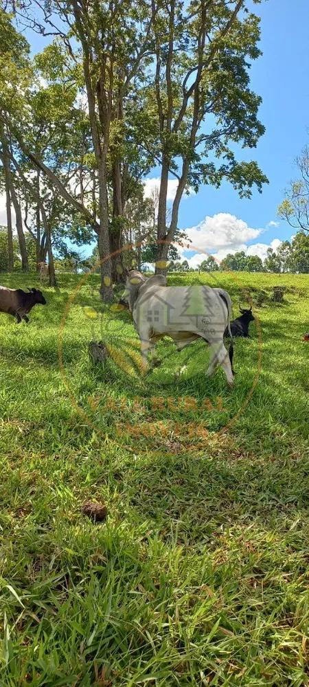 Fazenda, 108 m² - Foto 8