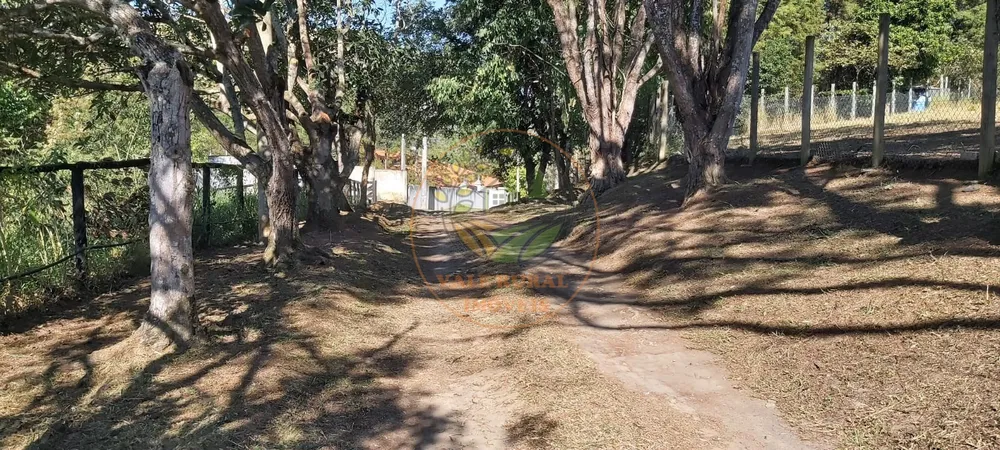 Chácara, 5 quartos, 6180 m² - Foto 7