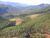 Fazenda-Sítio-Chácara - Foto 1