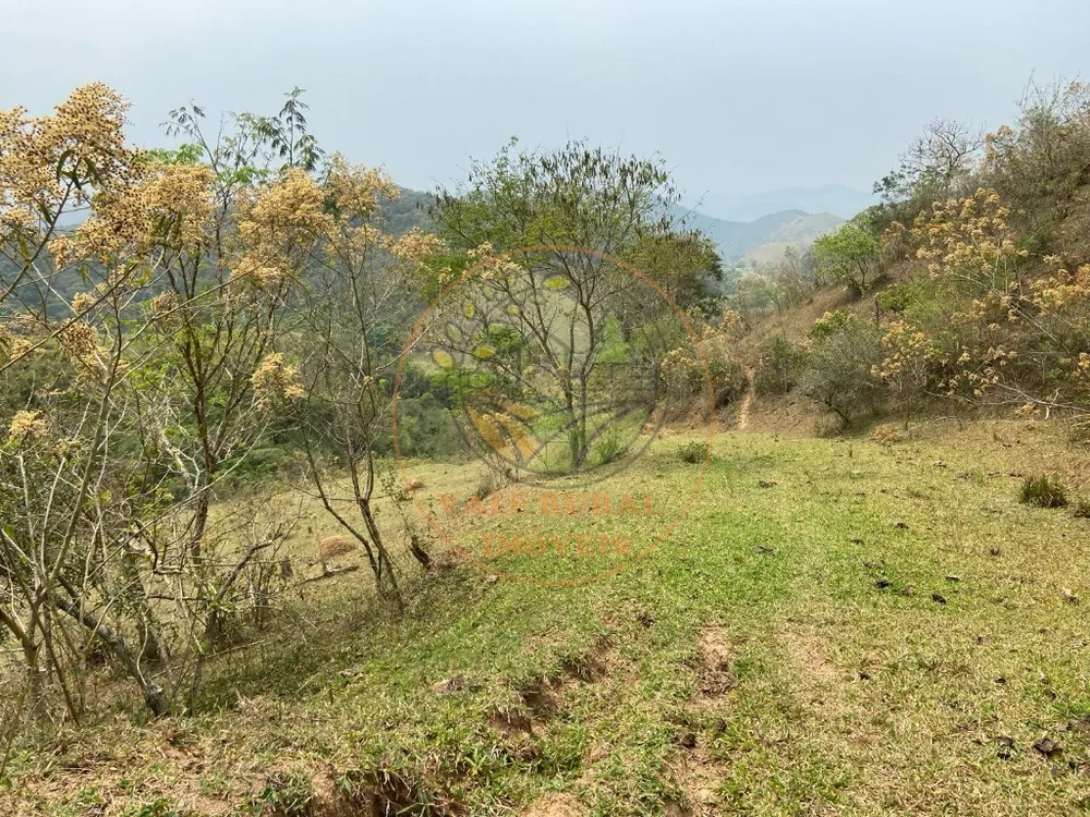 Fazenda - Foto 1