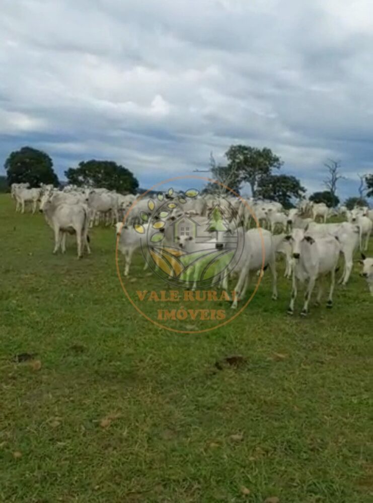 Fazenda à venda - Foto 2
