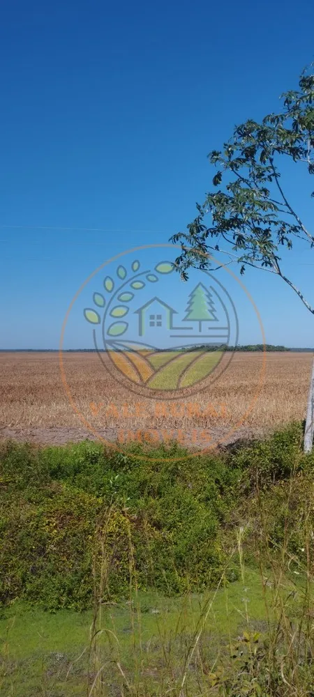 Fazenda - Foto 10