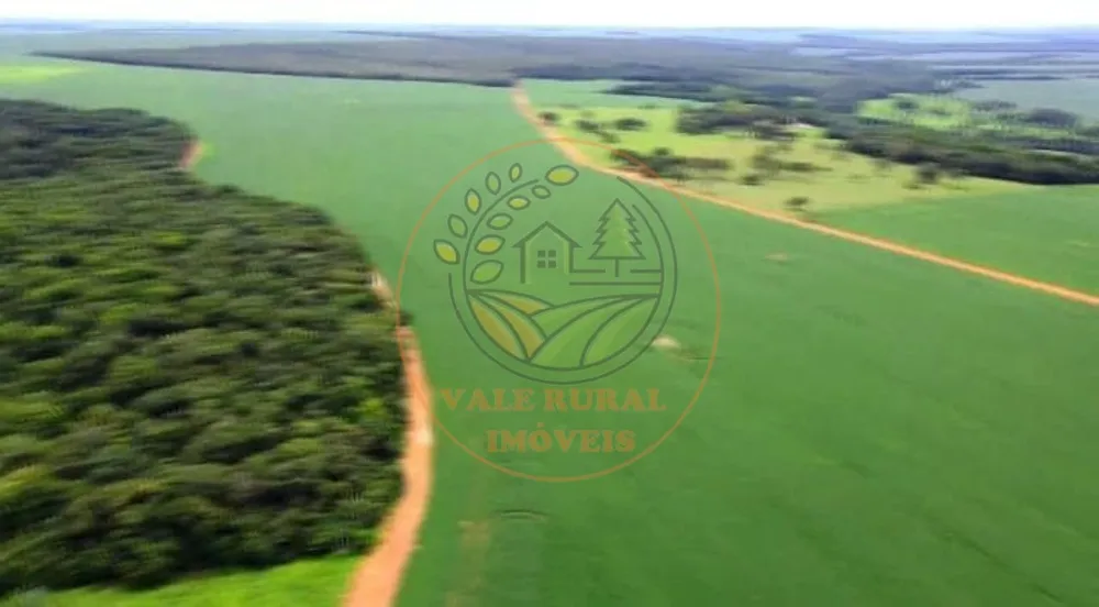 Fazenda - Foto 8