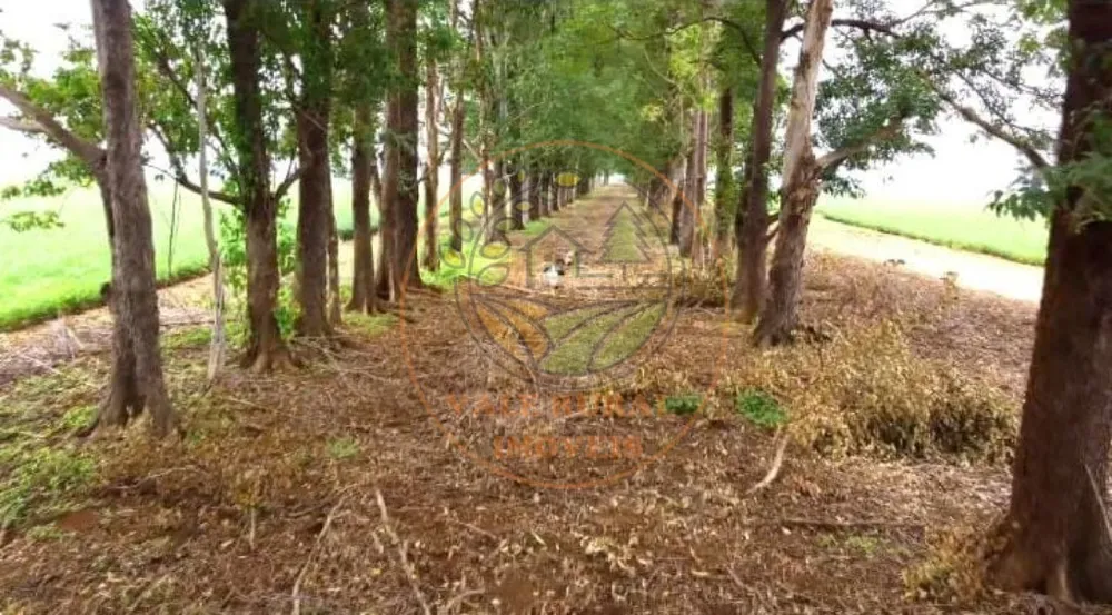 Fazenda - Foto 6