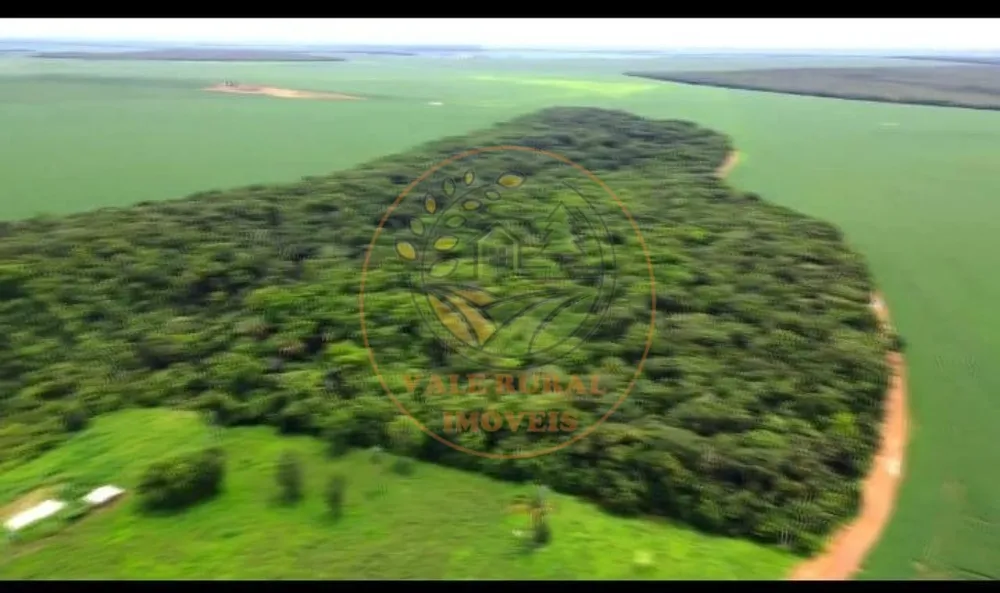 Fazenda - Foto 4