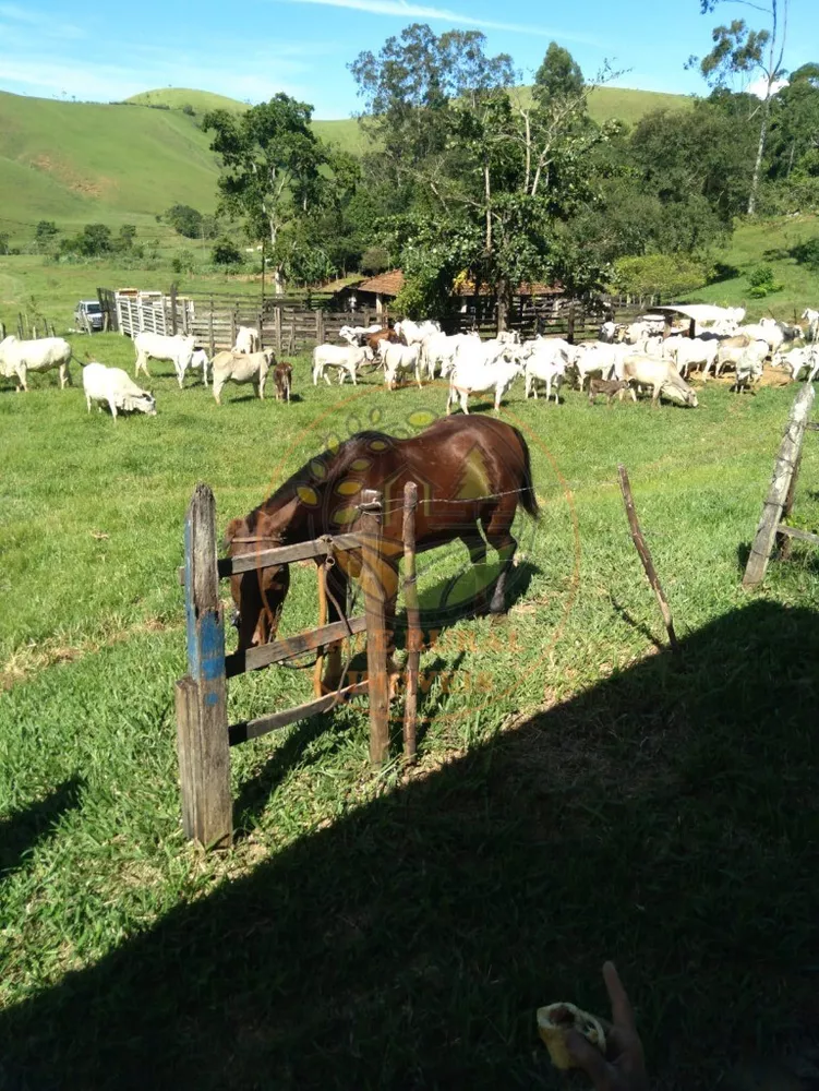 Sítio, 2 quartos, 18 m² - Foto 9