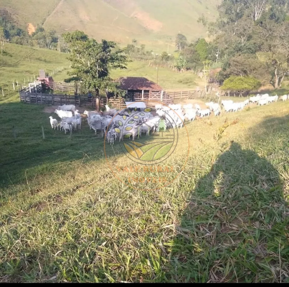 Sítio, 2 quartos, 18 m² - Foto 8