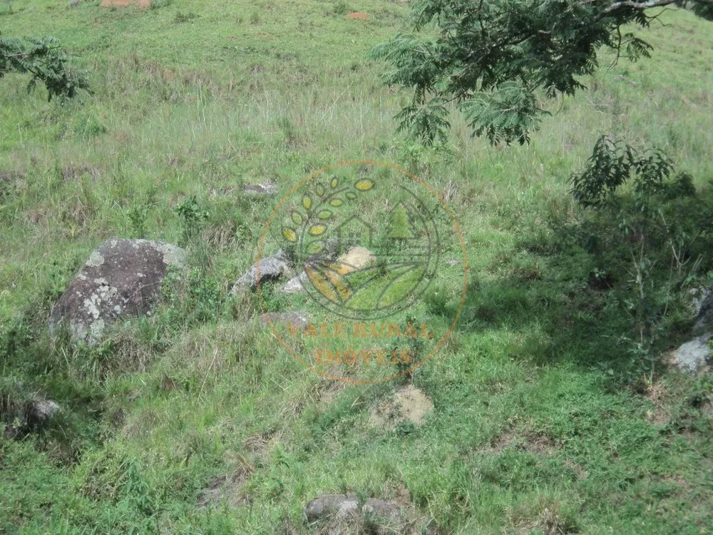 Fazenda, 6 hectares - Foto 6