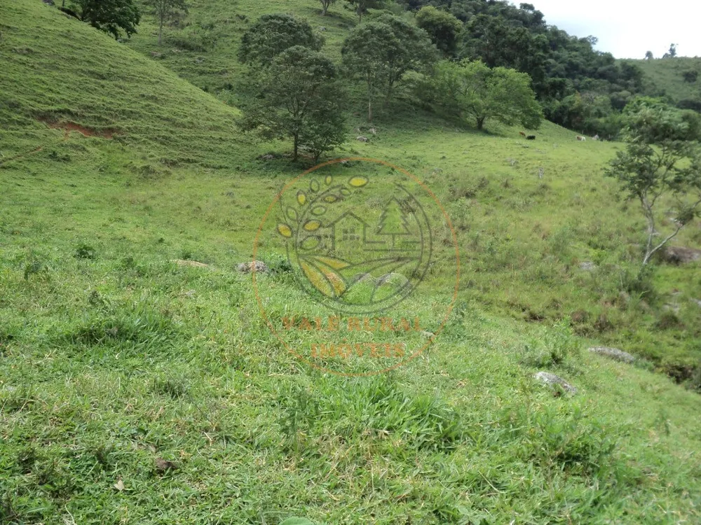 Fazenda, 6 hectares - Foto 4