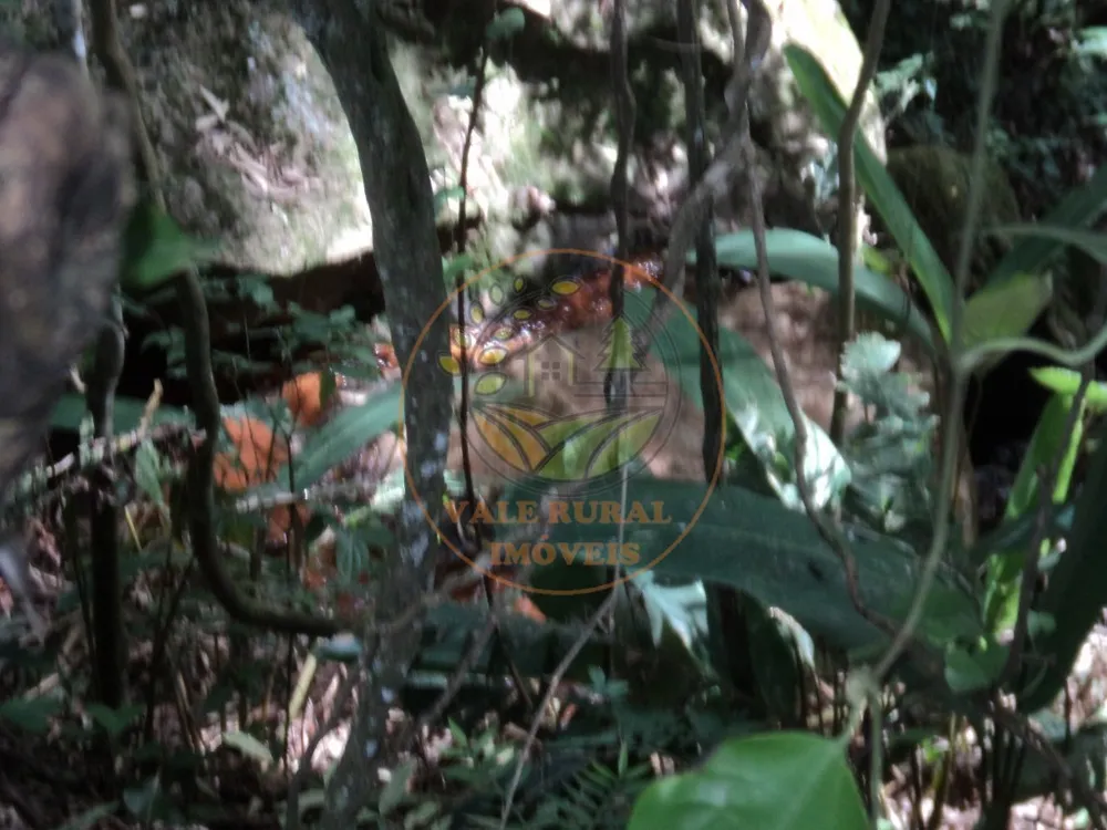 Fazenda, 6 hectares - Foto 11