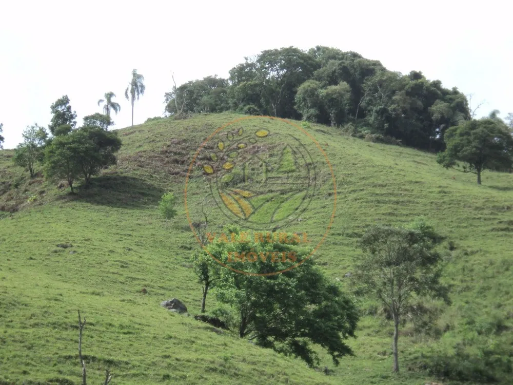Fazenda, 6 hectares - Foto 7