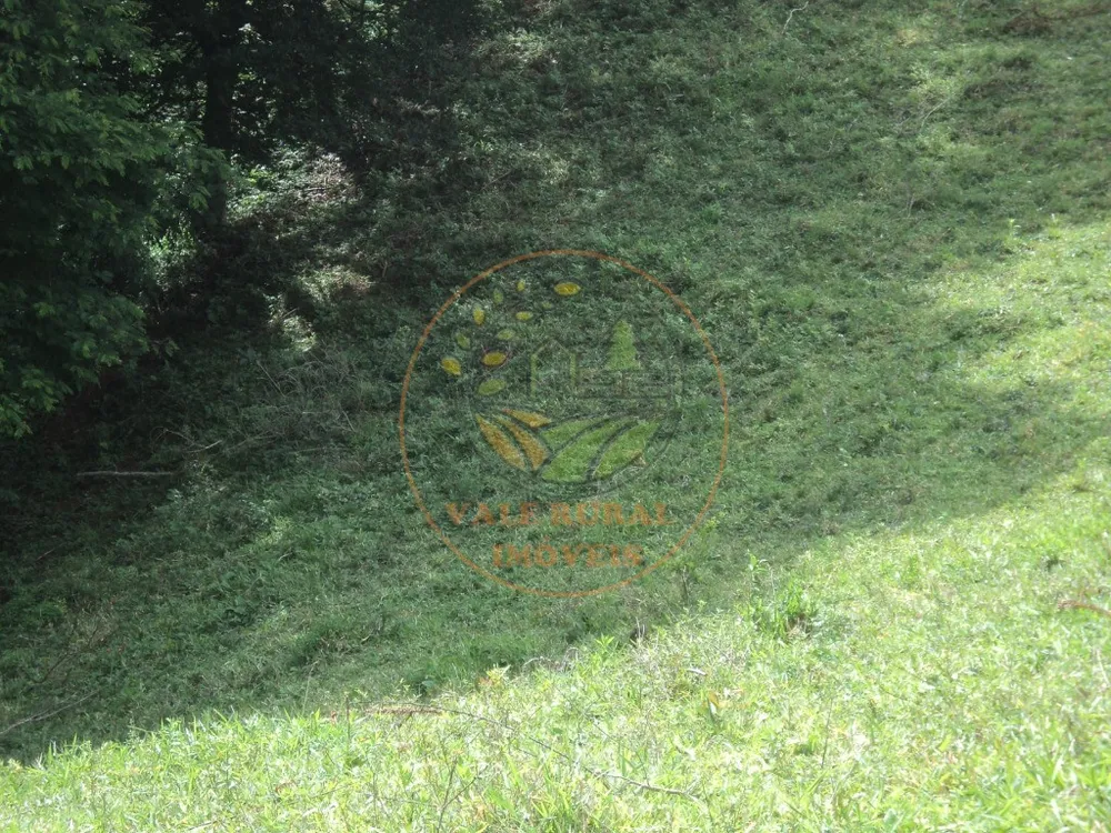 Fazenda, 6 hectares - Foto 10