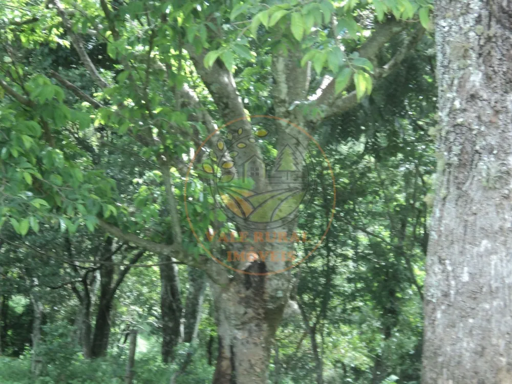 Fazenda, 6 hectares - Foto 8