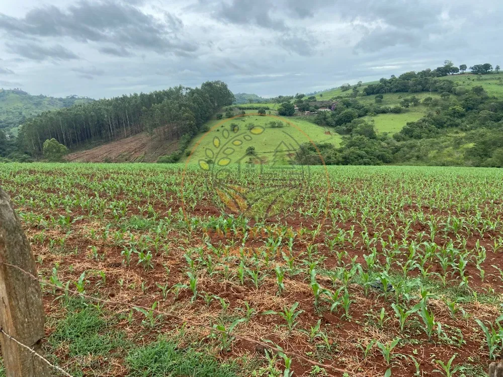 Fazenda, 47 m² - Foto 4