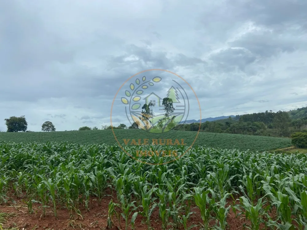Fazenda, 47 m² - Foto 11