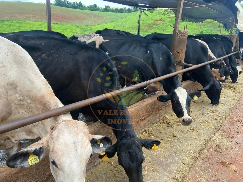 Fazenda, 47 m² - Foto 6