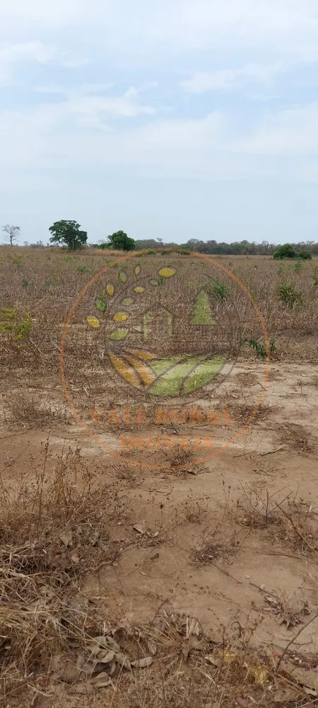 Fazenda, 2 hectares - Foto 12